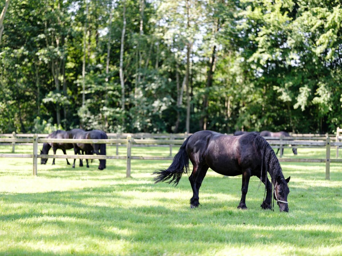 B & B St-Hubert Sint-Martens-Lennik Exteriér fotografie